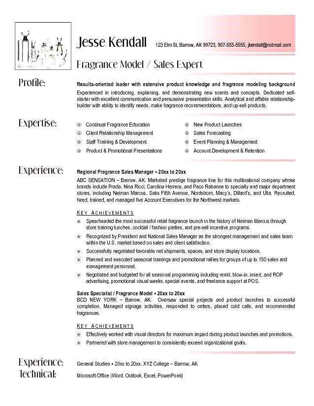 Making a professional resume example