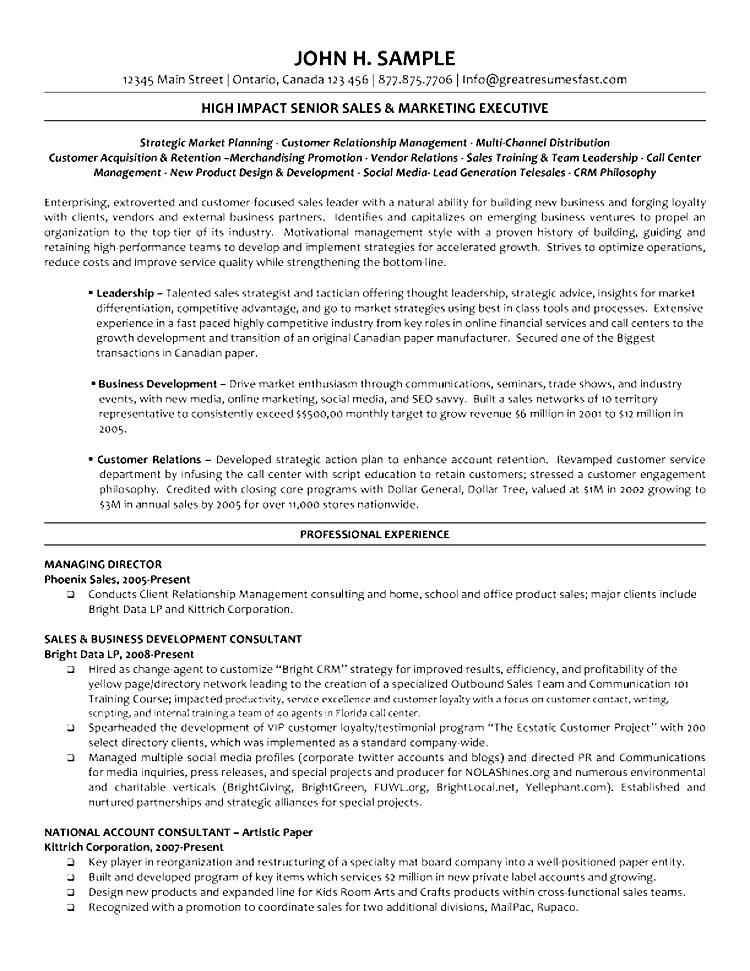 Resume Example Director Executive Director Resume Samples