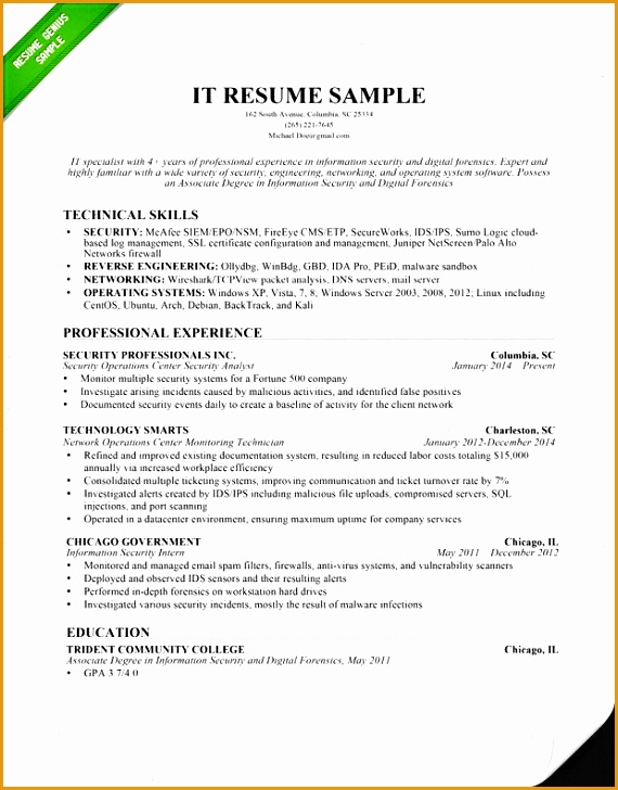 8 computer proficiency resume sample   curruculum