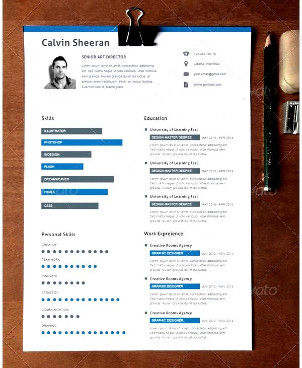 Creative Resume Template for Director | Free Samples ...
 Director Of Security Resume Examples
