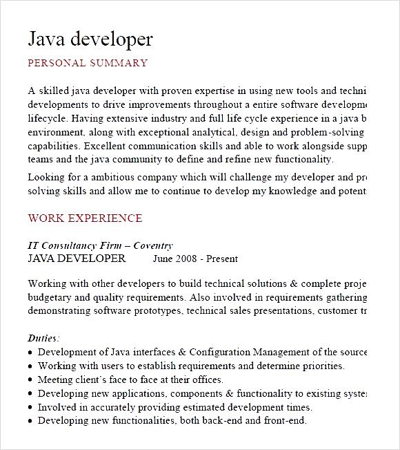 java developer cv template pdf