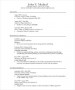 PDF Printable Professional CV Template
