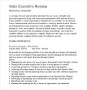 Sales Executive Resume PDF