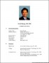 Professional Resume Format Doc