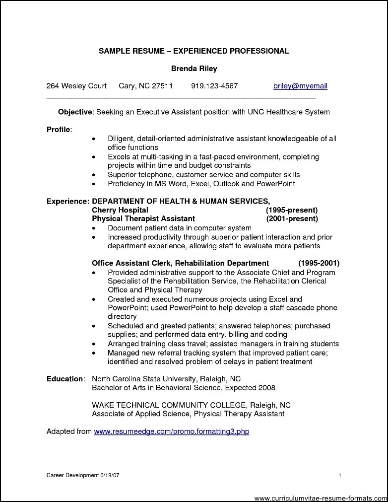 professional resume samples for it experienced