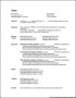 Professional Resume Template Microsoft Word 2010