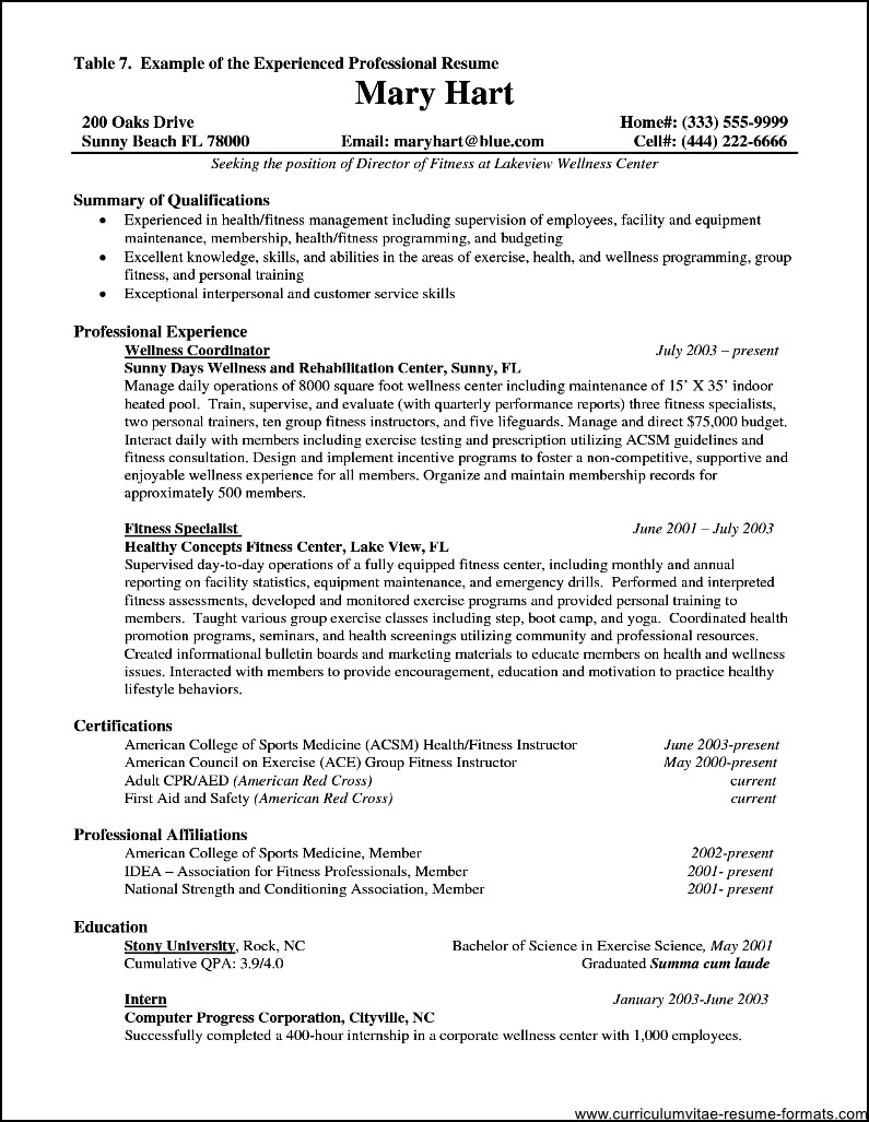 Resume Format For Experienced It Professionals Pdf  Free Samples