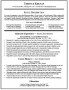 Sales Executive Resume Template
