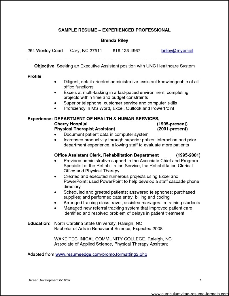 examples of resume format for professionals