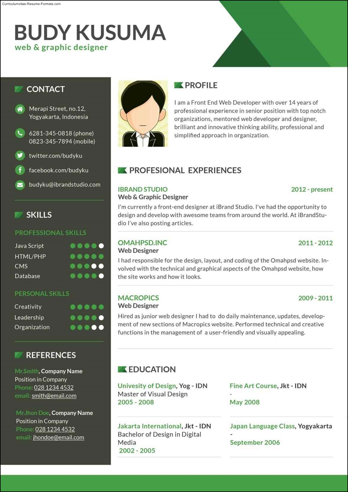 Awesome Resume Examples