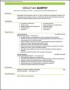 Mechanic Resume Template