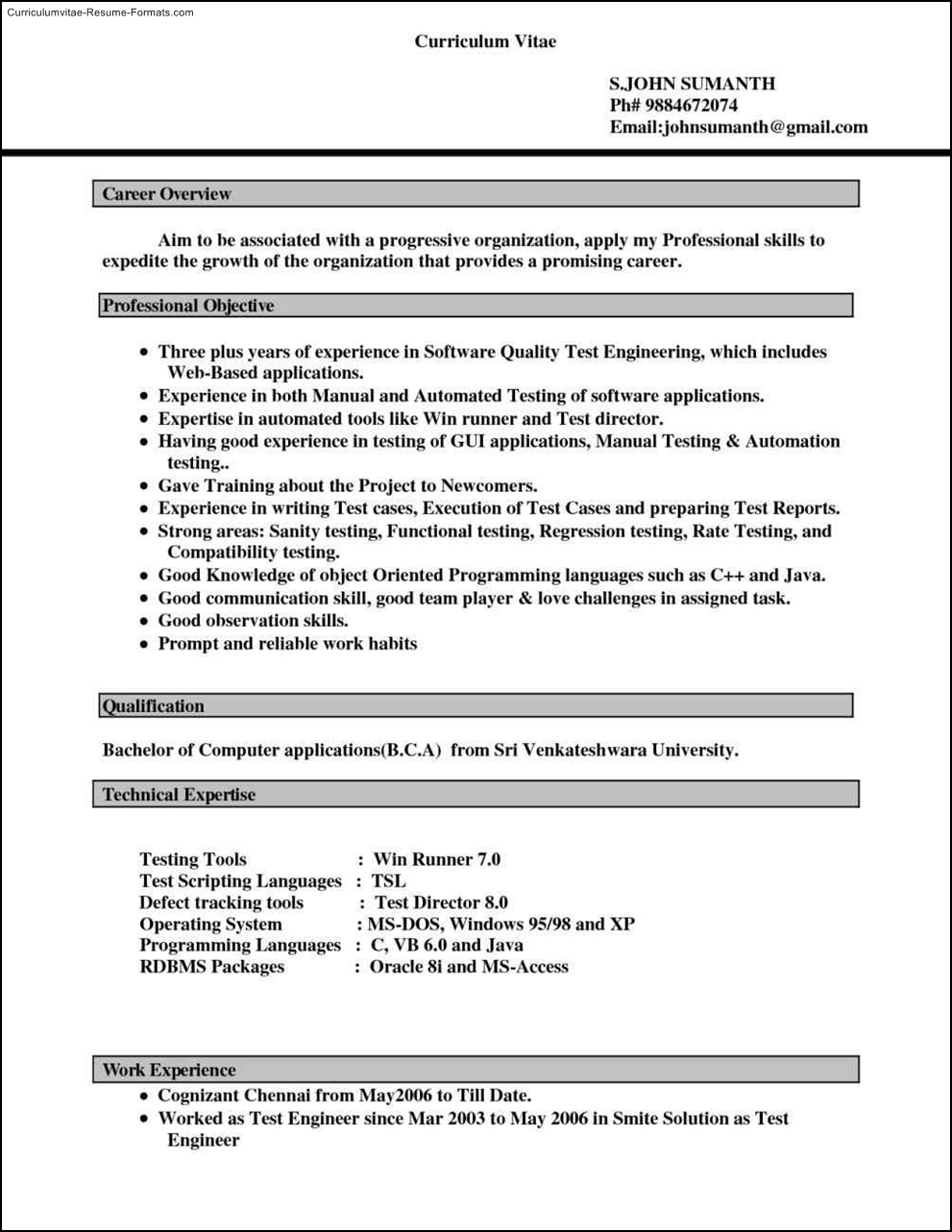 sample resume format download in ms word 2007