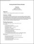 Nursing Assistant Resume Template