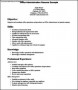Office Administration Resume Template