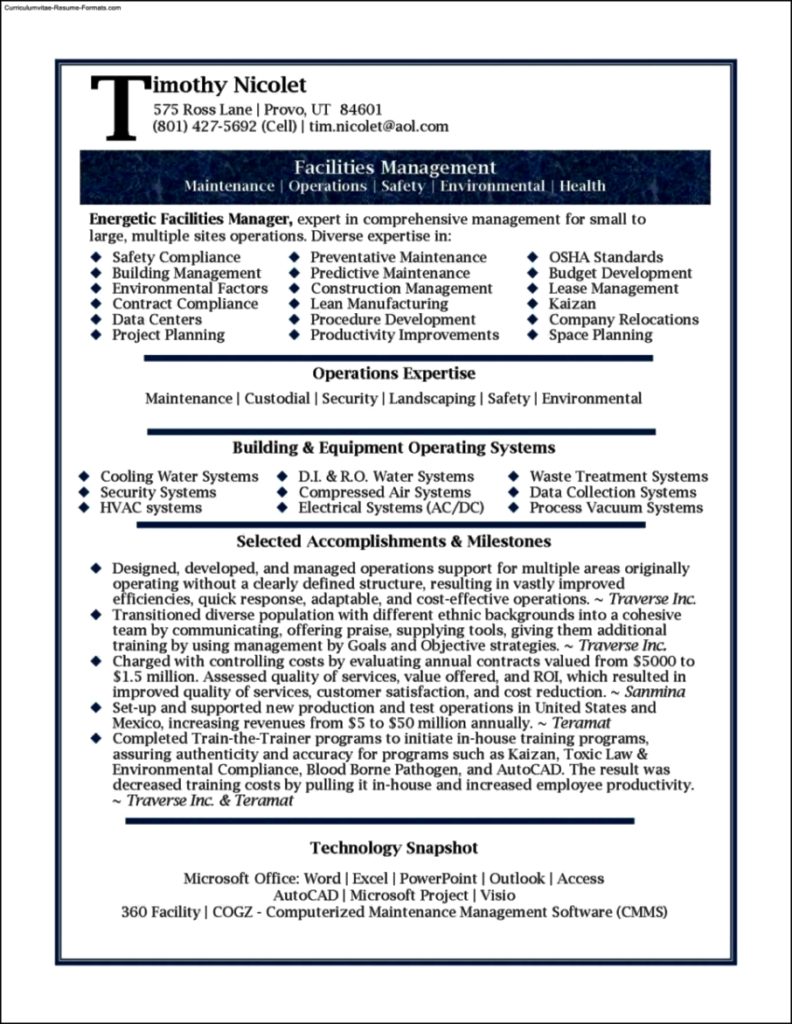 Professional It Resume Template