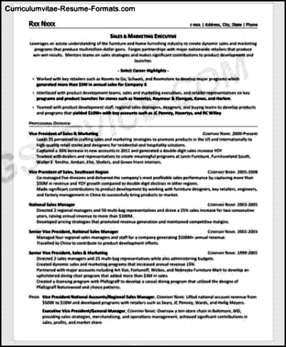 Professional Resume Template 2013