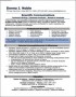 Professional Resume Templates 2013