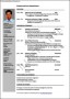 Professional Resume Templates Download
