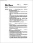 Professional Template Resume