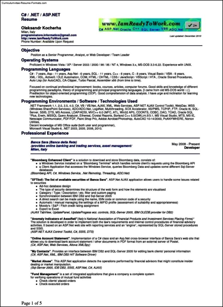 Programmer Resume Template