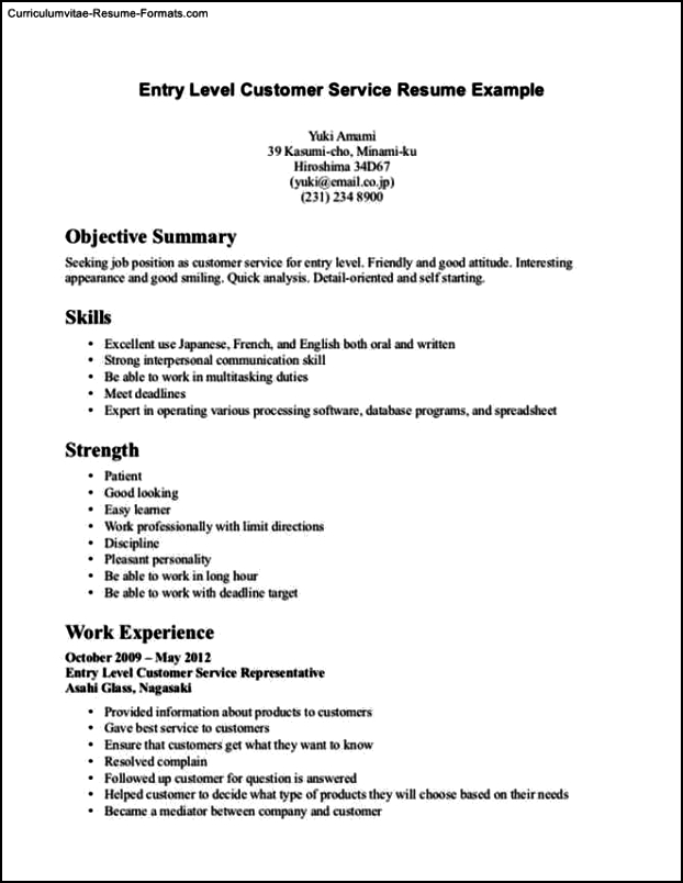 Resume Entry Level Template