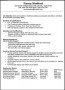 Resume Example Templates