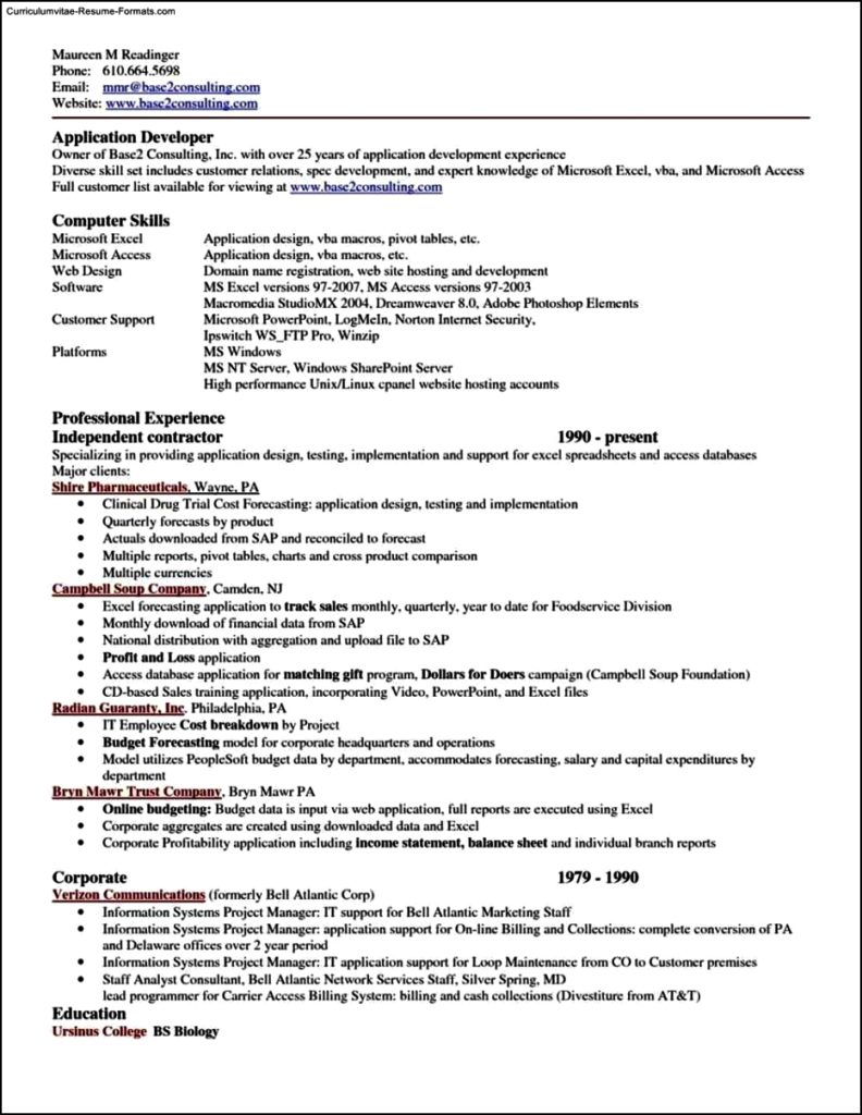 resume format for excel job