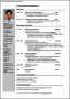 Resume Format Template Download