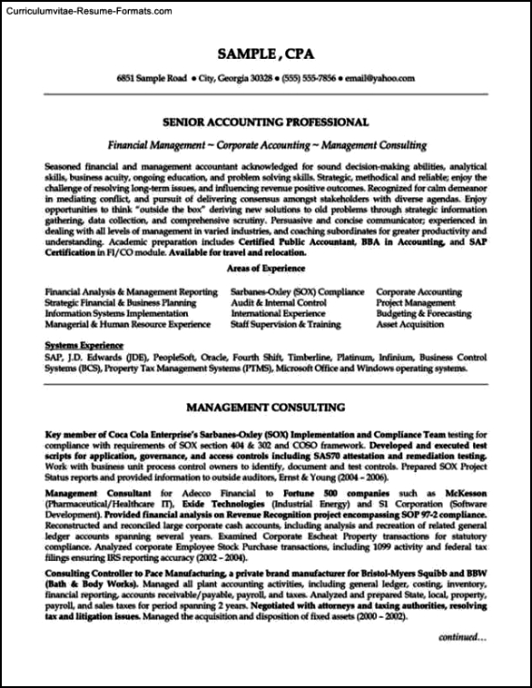 Resume Template Accountant