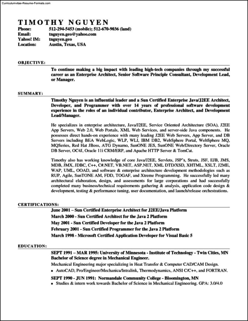 Resume Template On Word 2007