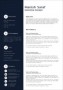 Resume Templates For Marketing