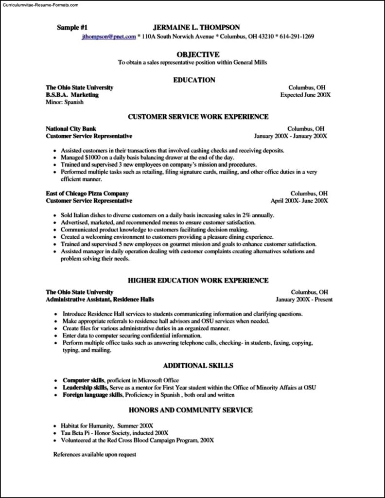 Resume Templates For Servers