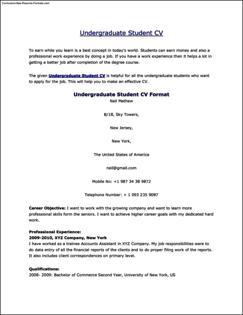 Resume Templates For Undergraduate Students