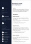 Resume Templates Marketing