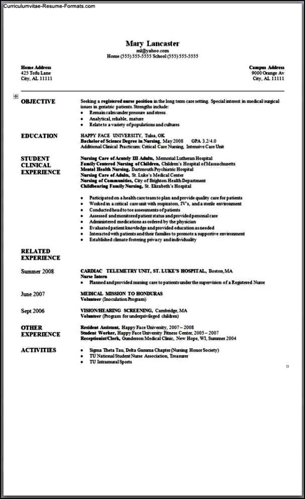 Resume Templates Word 2007 Download