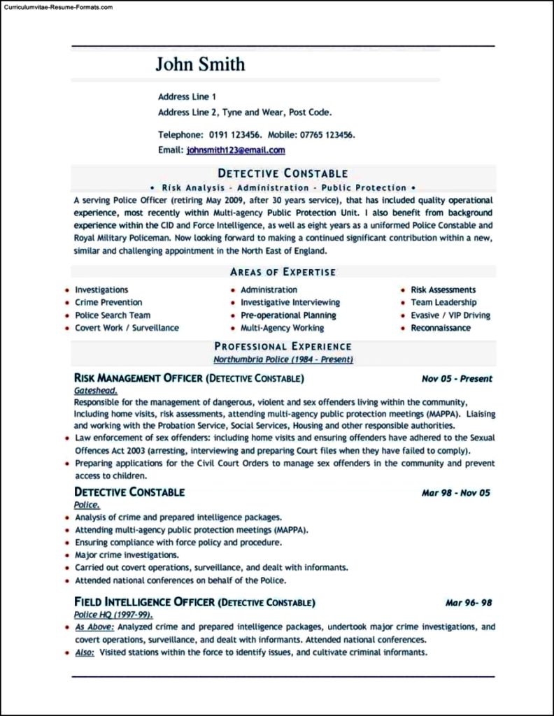 Resume Templates Word Document