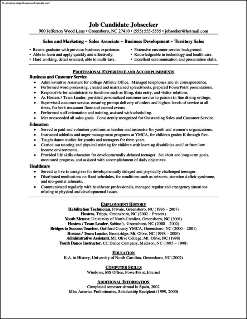 Sales Resume Templates Free