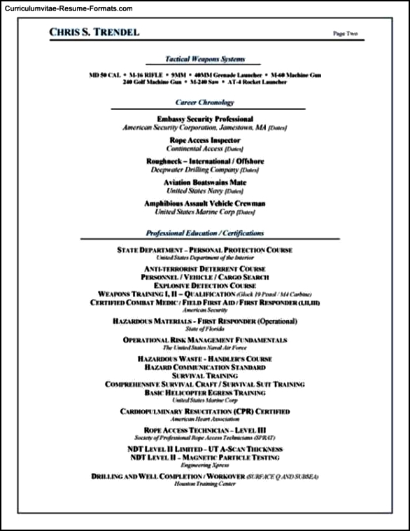 Security Resume Templates