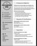 Standout Resume Templates