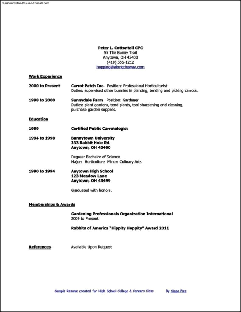 Template For High School Student Resume