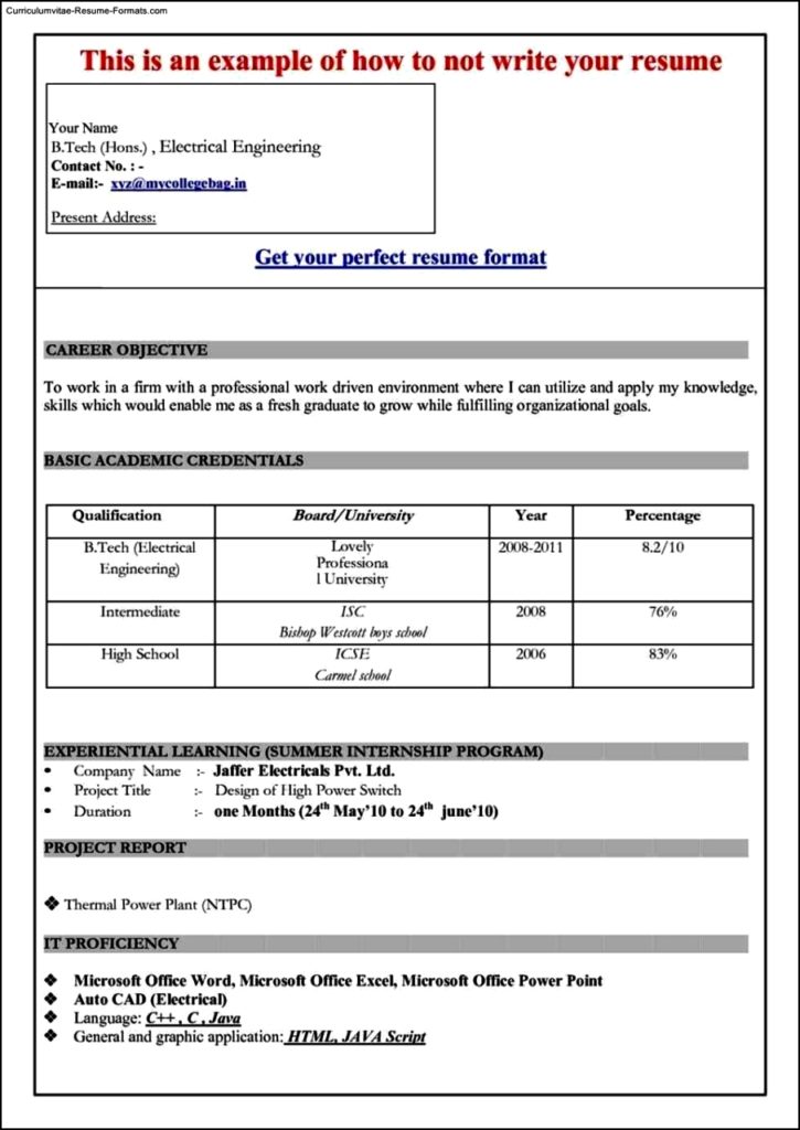 Word 2007 Resume Templates
