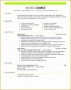 7 Curriculum Vitae for Teacher format