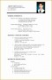 9 Example Of Resume for Fresh Graduate