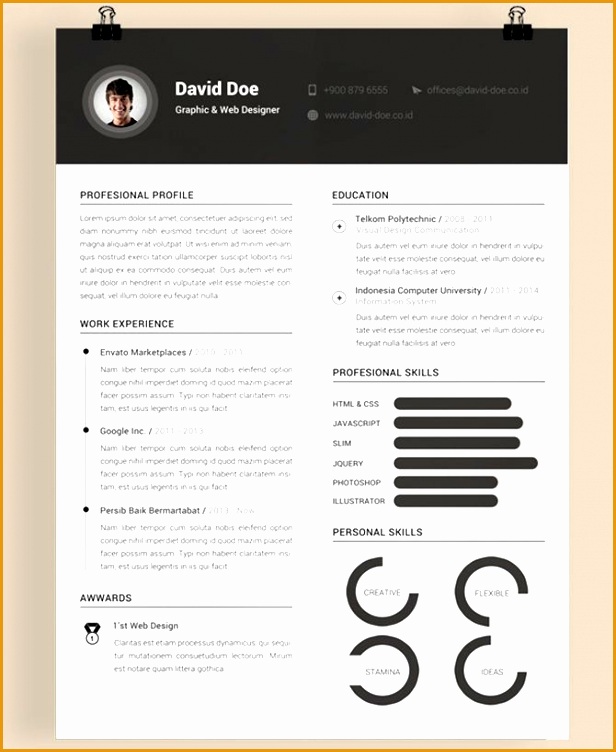 print ready resume freebie x