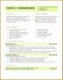 5 Professional Job Resume Template