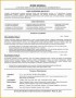 8 Sample Of Enterprise Architect Resume