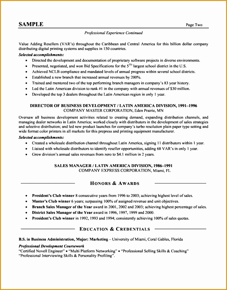 Senior Sales Executive Resume941736