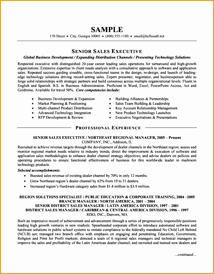 Senior Sales Executive Resume941736