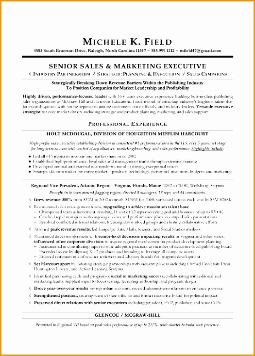 Regional VP Sales Sample Resume Executive resume writing Sales resume writer734525