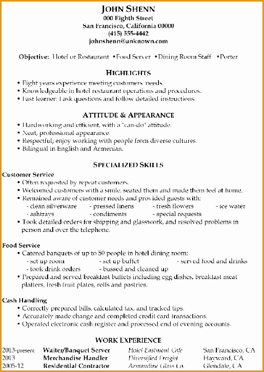 Functional Resume Sample Food Server Porter